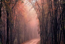 国足让人看到希望 这也是最危险的时刻.