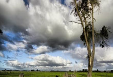 前高管：维尔茨带药厂夺冠，这比在拜仁赢得第个冠军有意义.